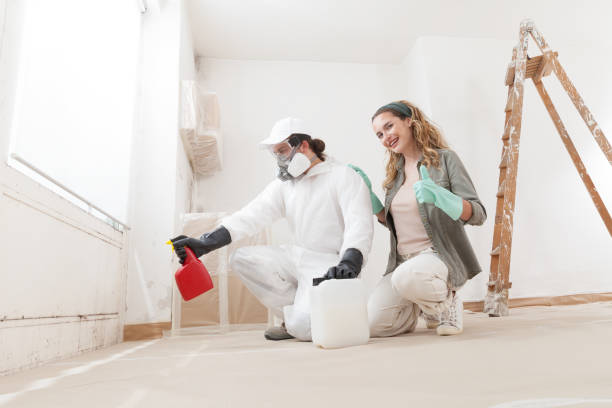 Best Biohazard Mold Removal  in Beulah, ND